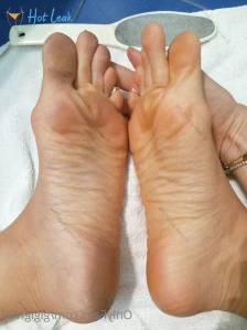 3380391