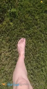 3388491
