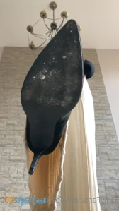 3392260