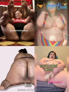 11600594