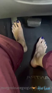 3402981