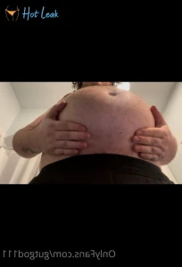3183683