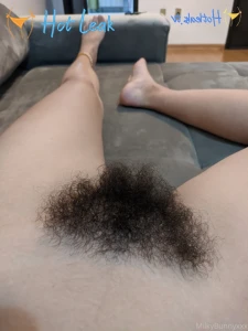 11539617