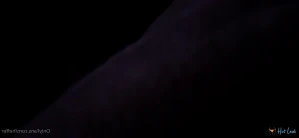3419011