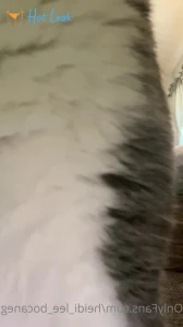 8951918