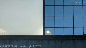6311212