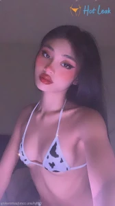 3274403