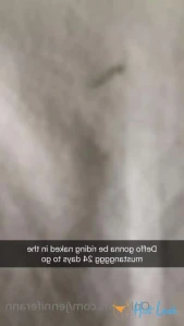 3736990