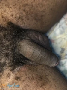 3250202