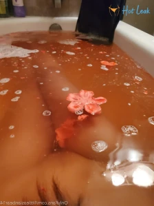 6259217