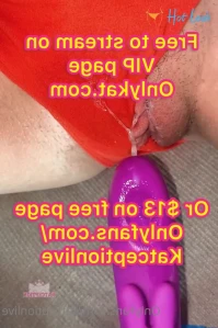 4904007