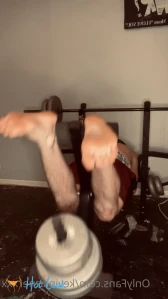 3952302
