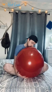 3953033