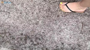 3958491