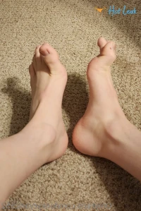9528219