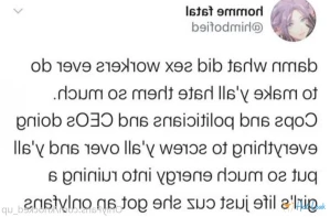 3262585