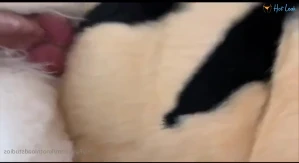 3976603