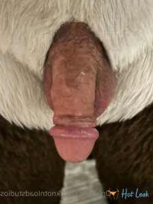 5789094