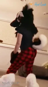 10619559