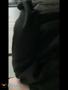 3981491