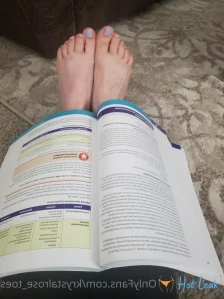 3255631