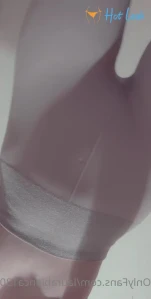 4045558
