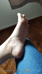 3172608