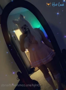 3211646