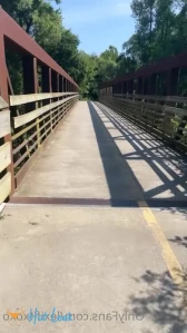4065338