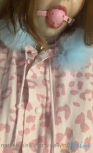 4116337