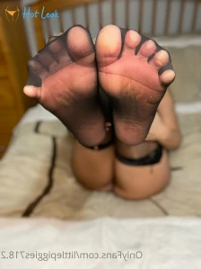3136012