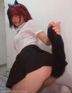 3004071