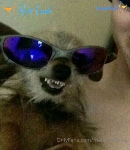 11793568