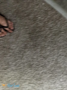 2938947