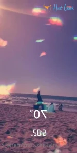 4228295