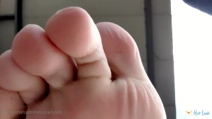 4252902