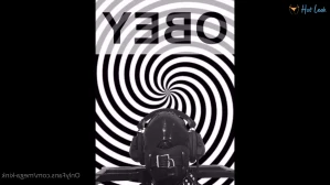 4274544