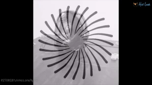 4275810