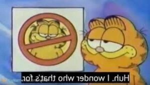 3067064