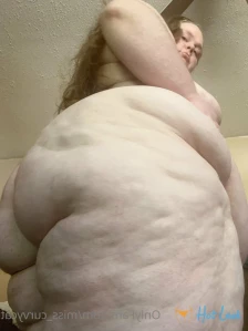 3003487