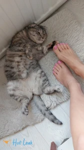 10092942