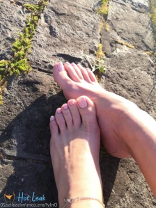 10093023