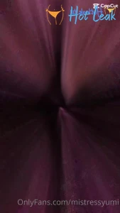 11773347