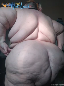 11818676
