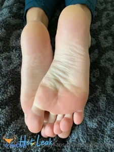 11821817