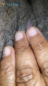 4423537