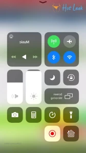 10606981