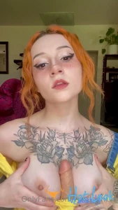 11665115
