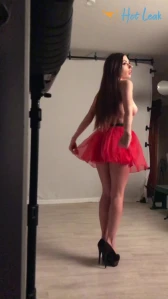 10604279