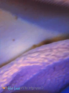 4514592